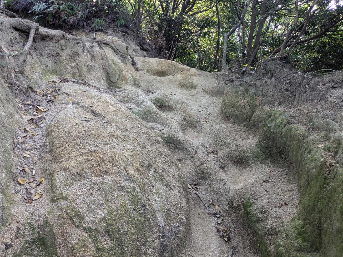 歩きにくいところも💦