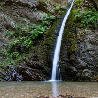 宿谷の滝、今年は何度訪れるかな