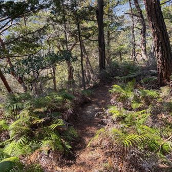 鬼ヶ牙最高点に向かいます