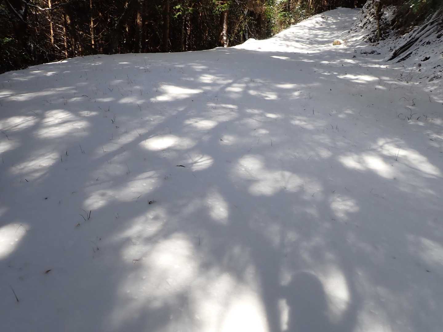👍👍新雪を歩くのは久しぶり
