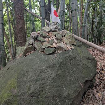 🇯🇵