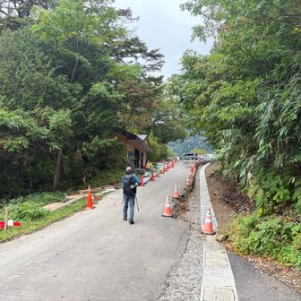 無事下山出来ました。
やっぱり濡れた岩場の下山道で、すっ転んで擦り傷が増えました。
奥に見える小屋は水洗トイレ🚽
夜は照明器具が無いのでヘッデン必須ですよ☝️