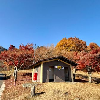 🚻トイレも沢山😉