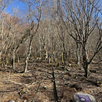 休憩所は木の葉が落ちて、夏とは別の世界
