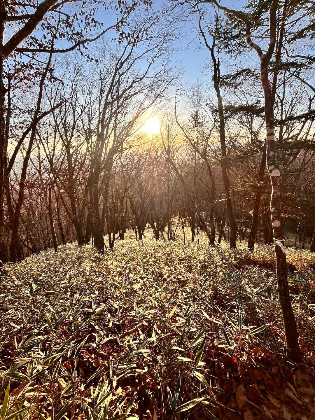 笹原も輝き出して✨