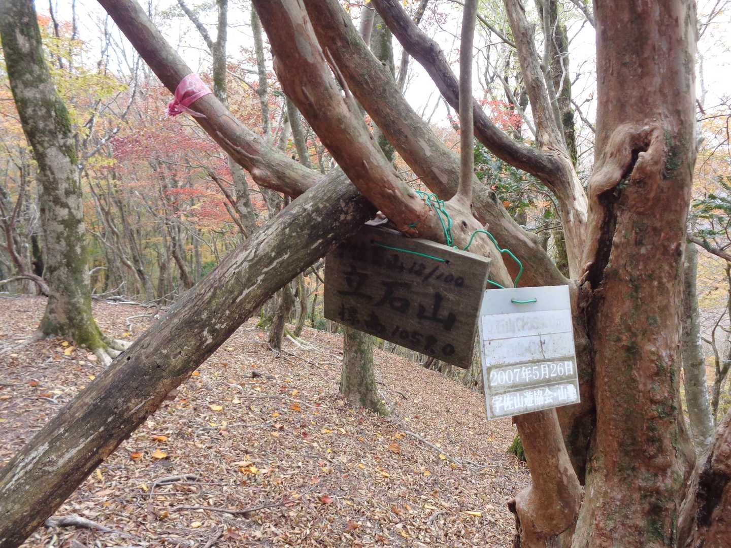 ありました。
戻ります。