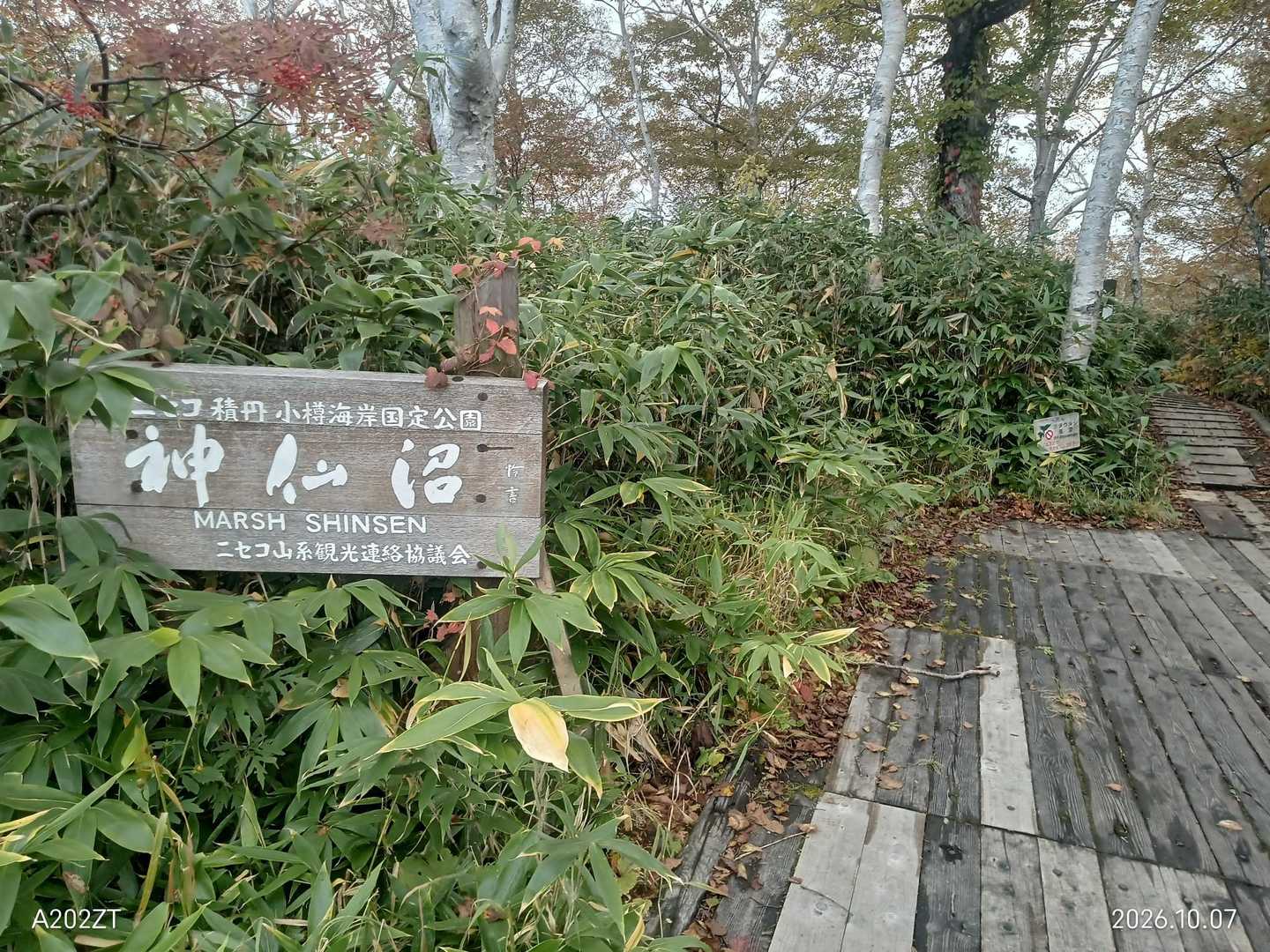 お久しぶりの神仙沼入り口