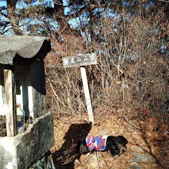 あーやっと自由になったぜ！！