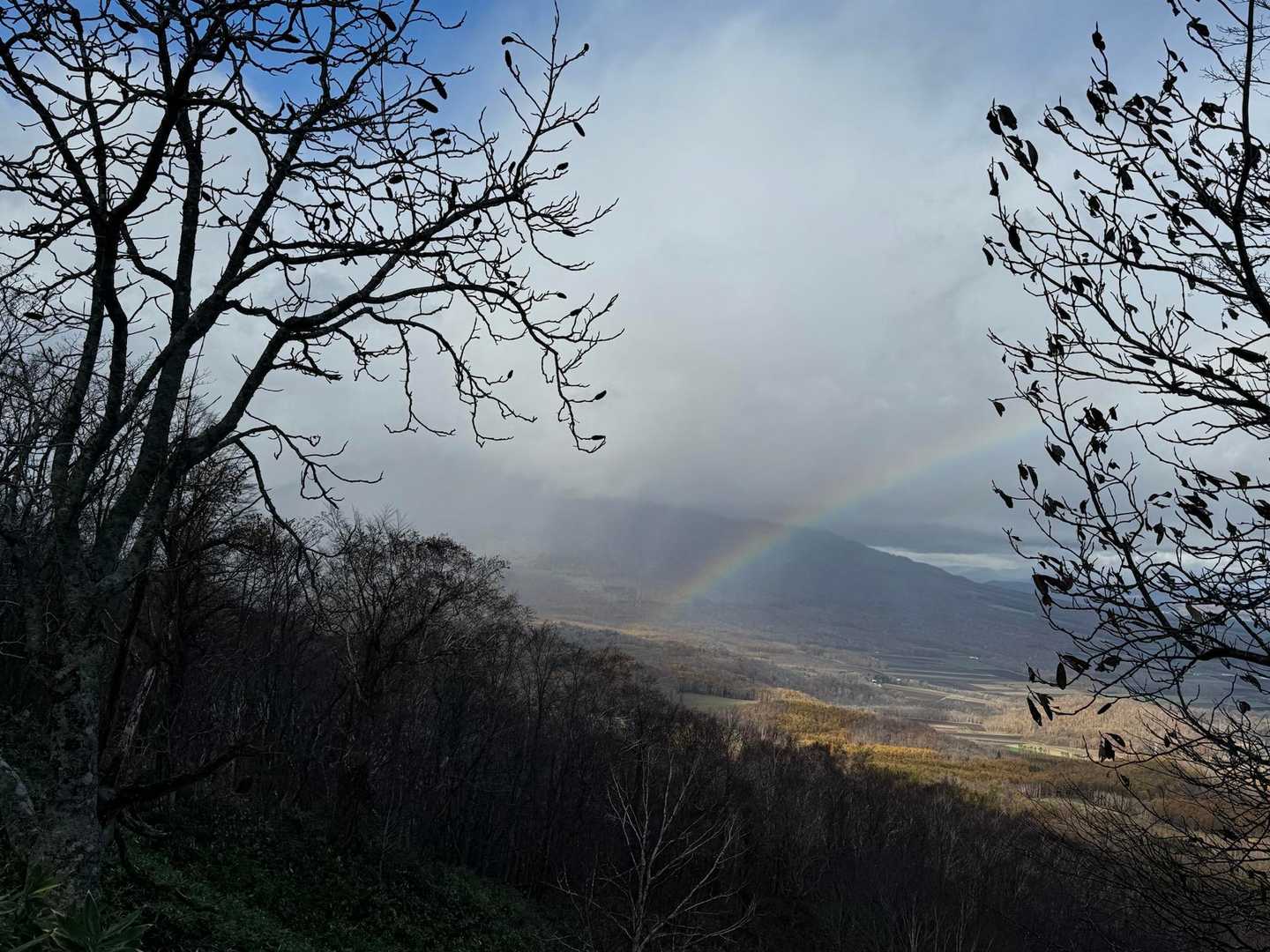 喜茂別コース入口-尻別岳 往復コースの写真