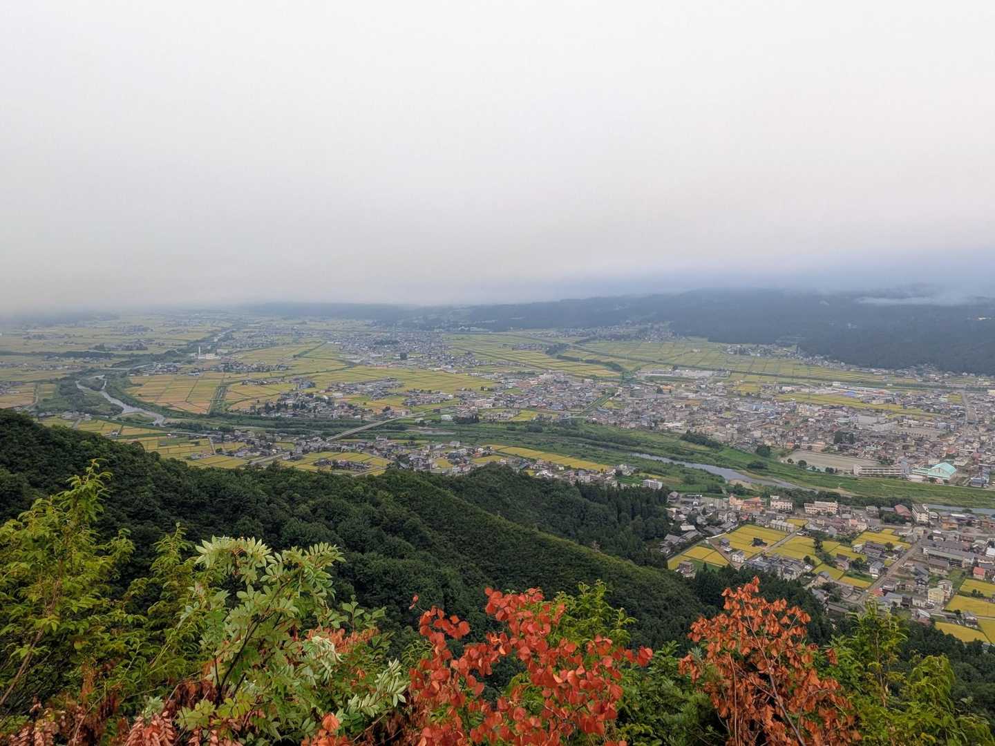 坂戸山周回 | 春にカタクリが咲き誇る、上杉景勝・直江兼続ゆかりの山城跡の写真
