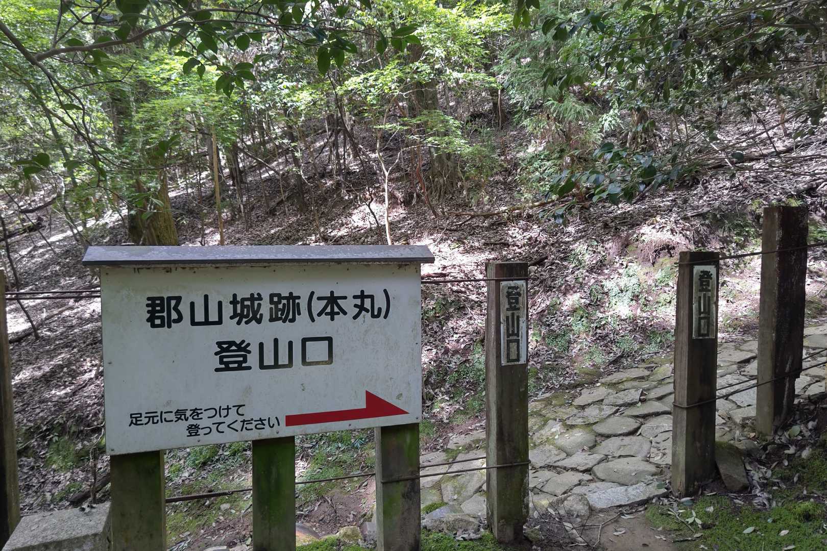 スミマセン💦
毛利元就より郡山に興味があるのでスルーしちゃいます(笑)