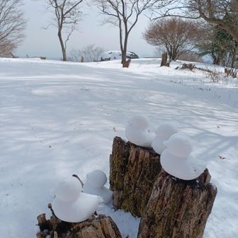 ここにも乗っけてきた(笑)