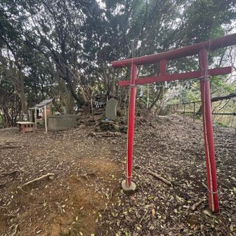 磯根浅間山⛰️