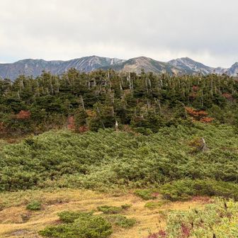 振り返りの小蓮華、白馬、旭岳
真ん中は雪倉
また、朝日〜雪倉歩きたいなぁ。