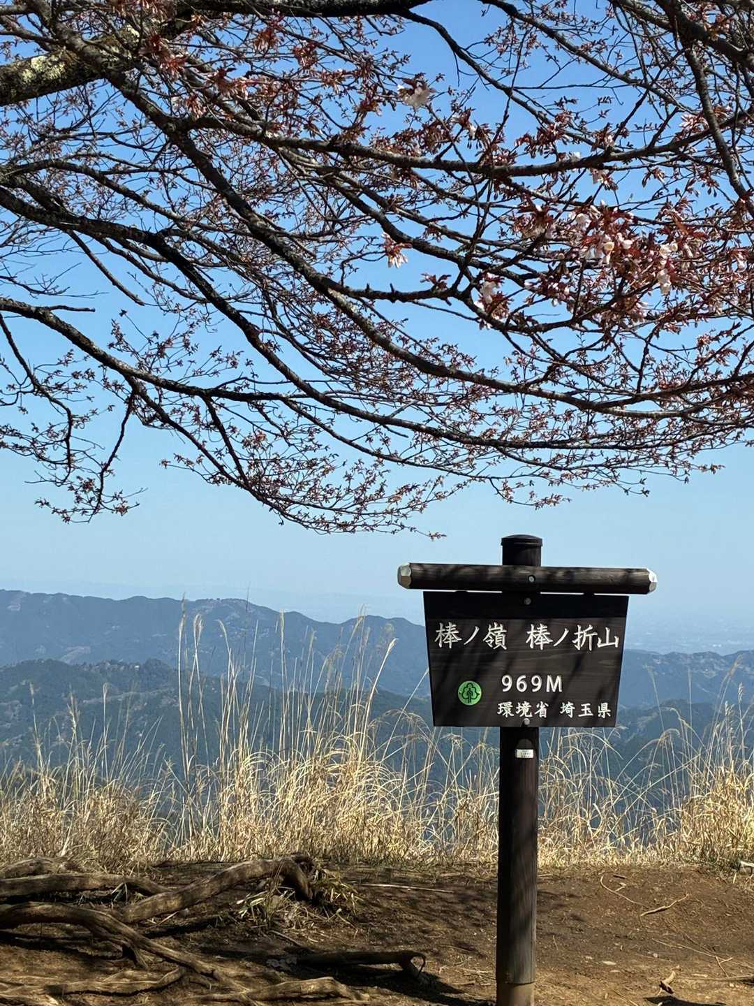 喘ぎ喘ぎ棒ノ折山登頂