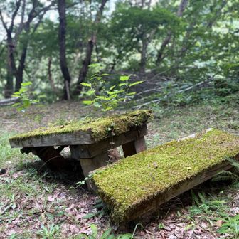 自然に還りつつある机と椅子。