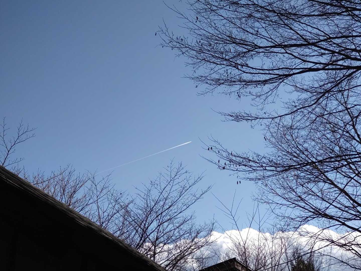 飛行機雲✈️