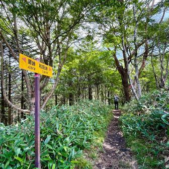 この標識の場所が
YAMAP地図で和田山の北峰山頂