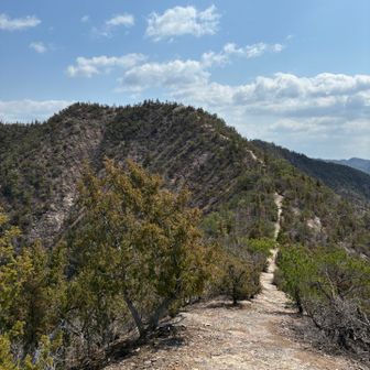 縦走路が良いですねー