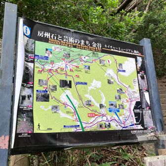 鋸山登山道から少し行くと三叉路に出る。
真ん中が石段（写真右）で石段の右の道に登って行くと行き止まり（私有地）
石段が正解みたいだったが、一番左の車力道を行くことに。