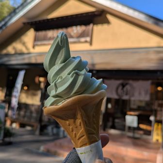 入口に戻ってきて、、
戸隠といえば蕎麦…だけれど熊笹ソフト😆
ほのかに笹の香りがします