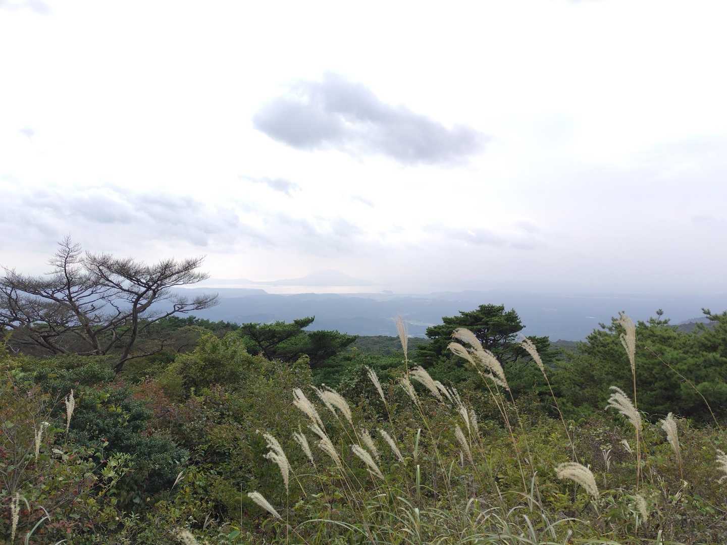 分かりにくいけれど鹿児島湾と桜島がよく見える