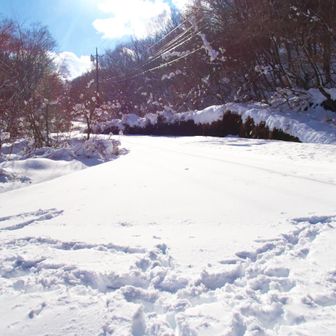 林道も除雪無し（冬期通行止め）ここもスノーシューで歩けそう
