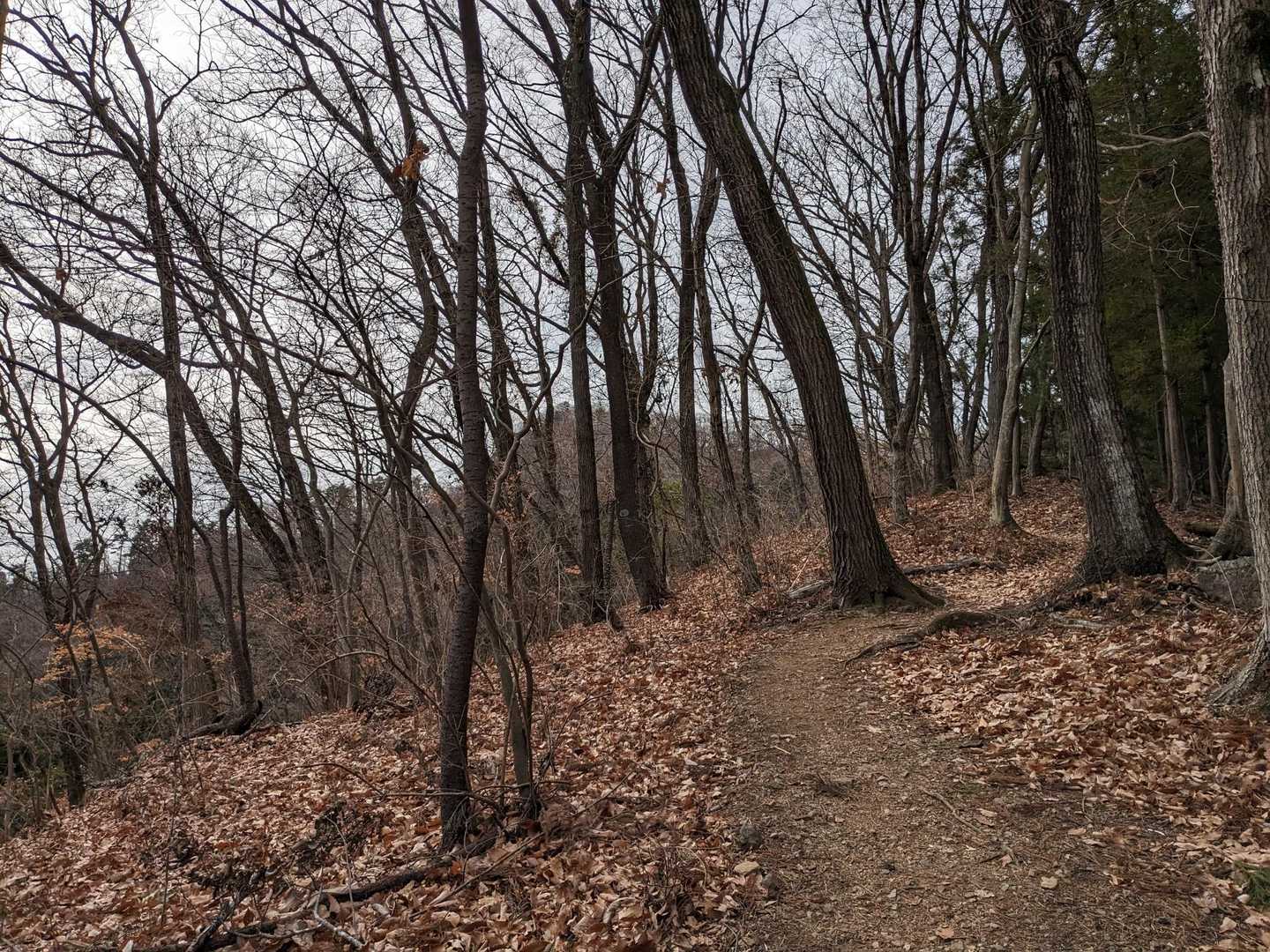 奥が破風山らしい