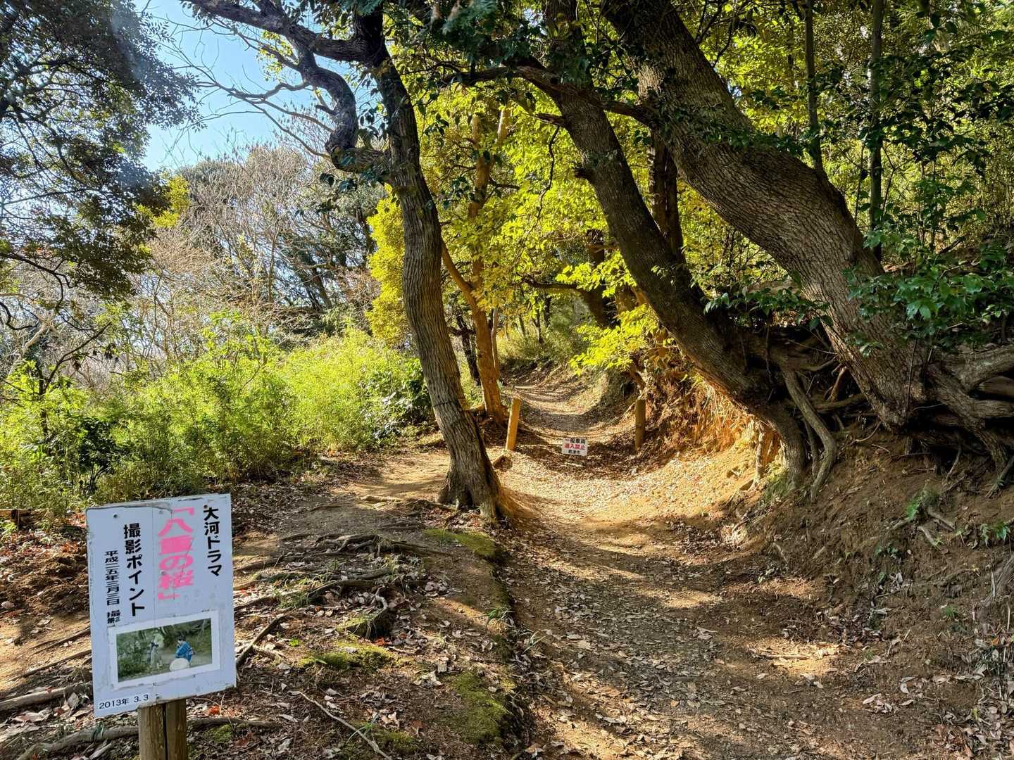 大河ドラマ「八重の桜」撮影ポイント①🌸