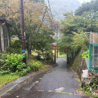 あと少しのところで豪雨☔️😭