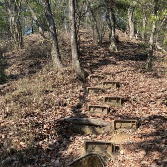 大谷山のすぐ手前には、やはり階段が待ってます。
あと一踏ん張り。やはり耐えるしかない。😓