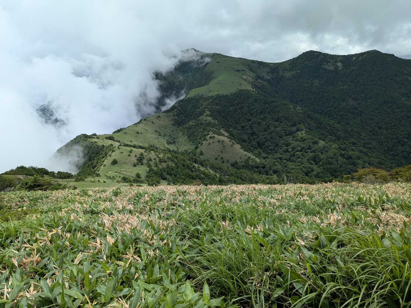 梅ヶ市登山口-堂ヶ森 往復コースの写真