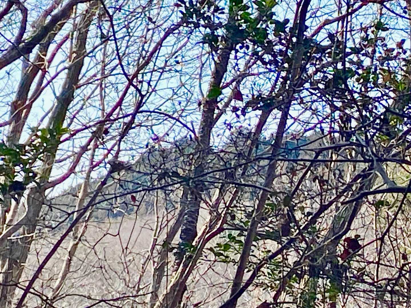 下山途中に見えた朝房山⛰️
