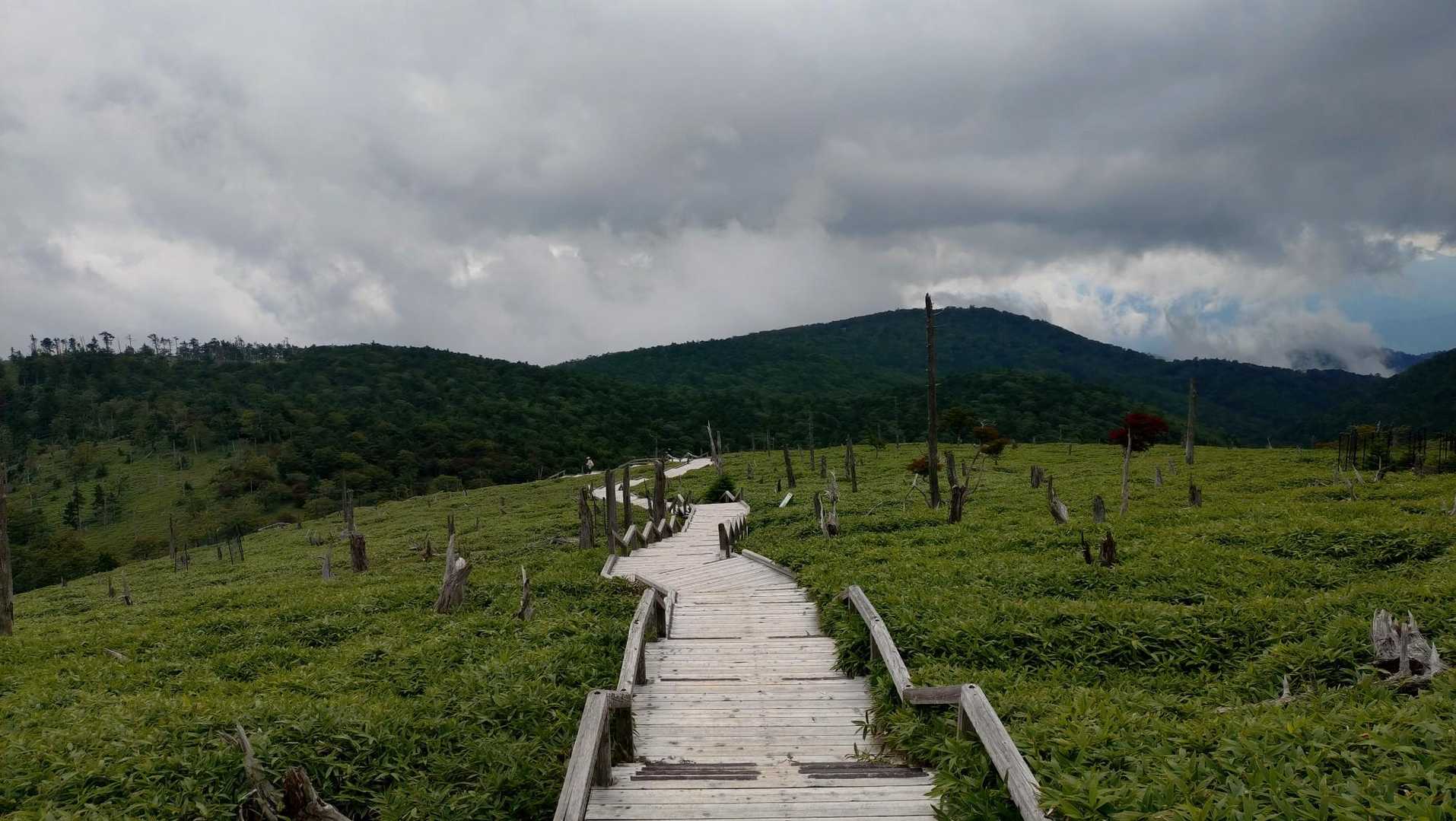 大台ヶ原バス停-大台ヶ原山-尾鷲辻 周回コースの写真