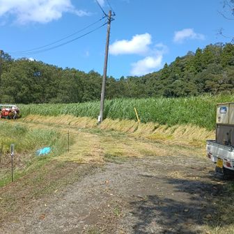 残りあと少し！
がんば！