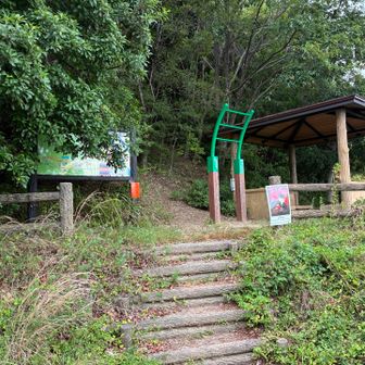 第二見晴台からショートカット
お盆中は不摂生で脂肪が増えたので…今日は懸垂はやらない😣