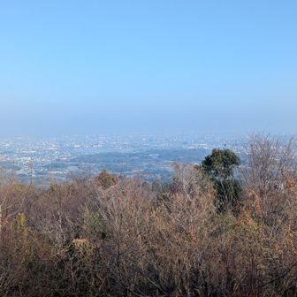 展望台からの眺め
大阪湾や岸和田の街が一望