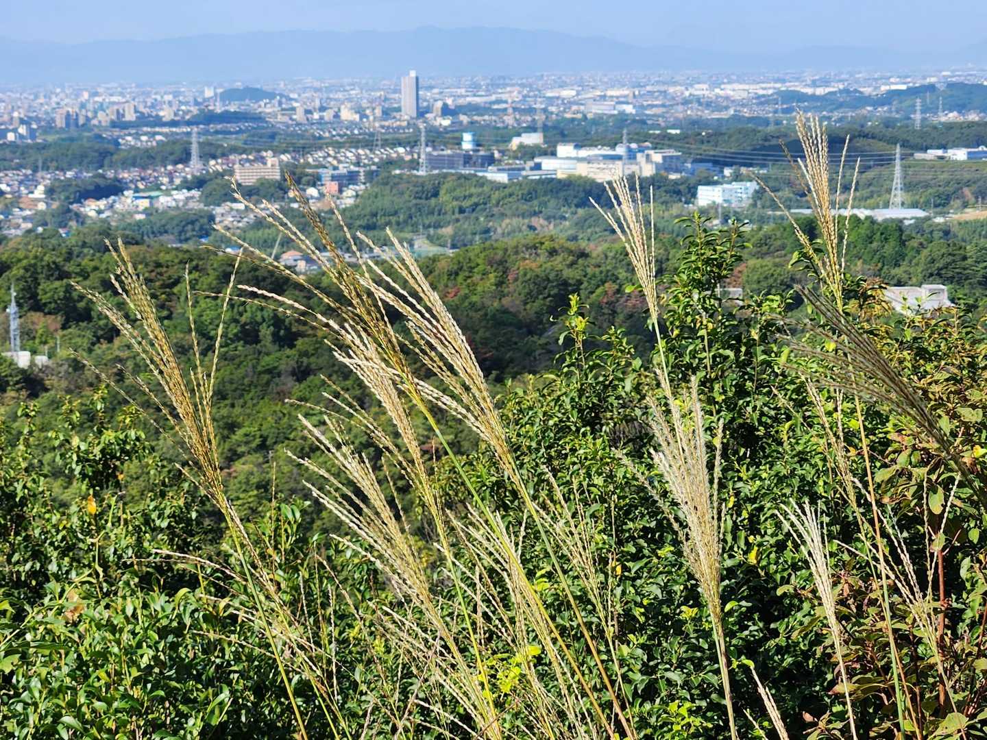 秋っぽく