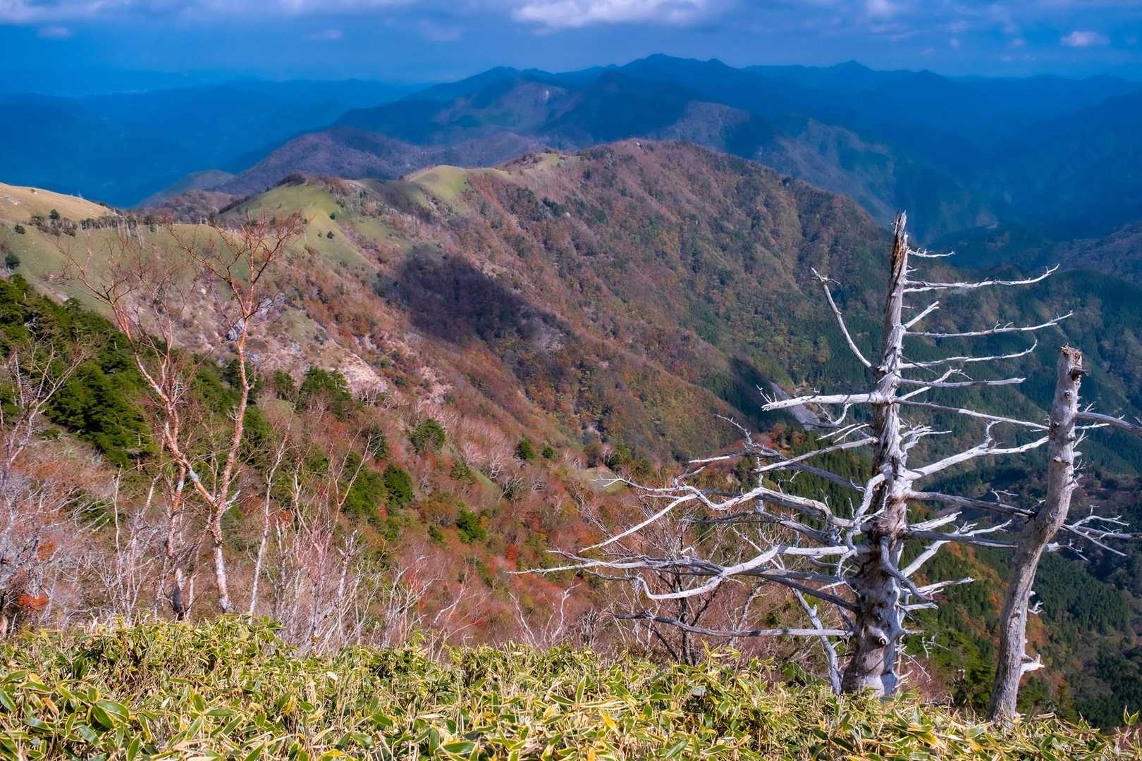 山頂からの景色