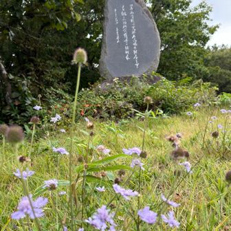 いつも気になっていた、この石碑に付いてチャッピーに聞いたところ、、。