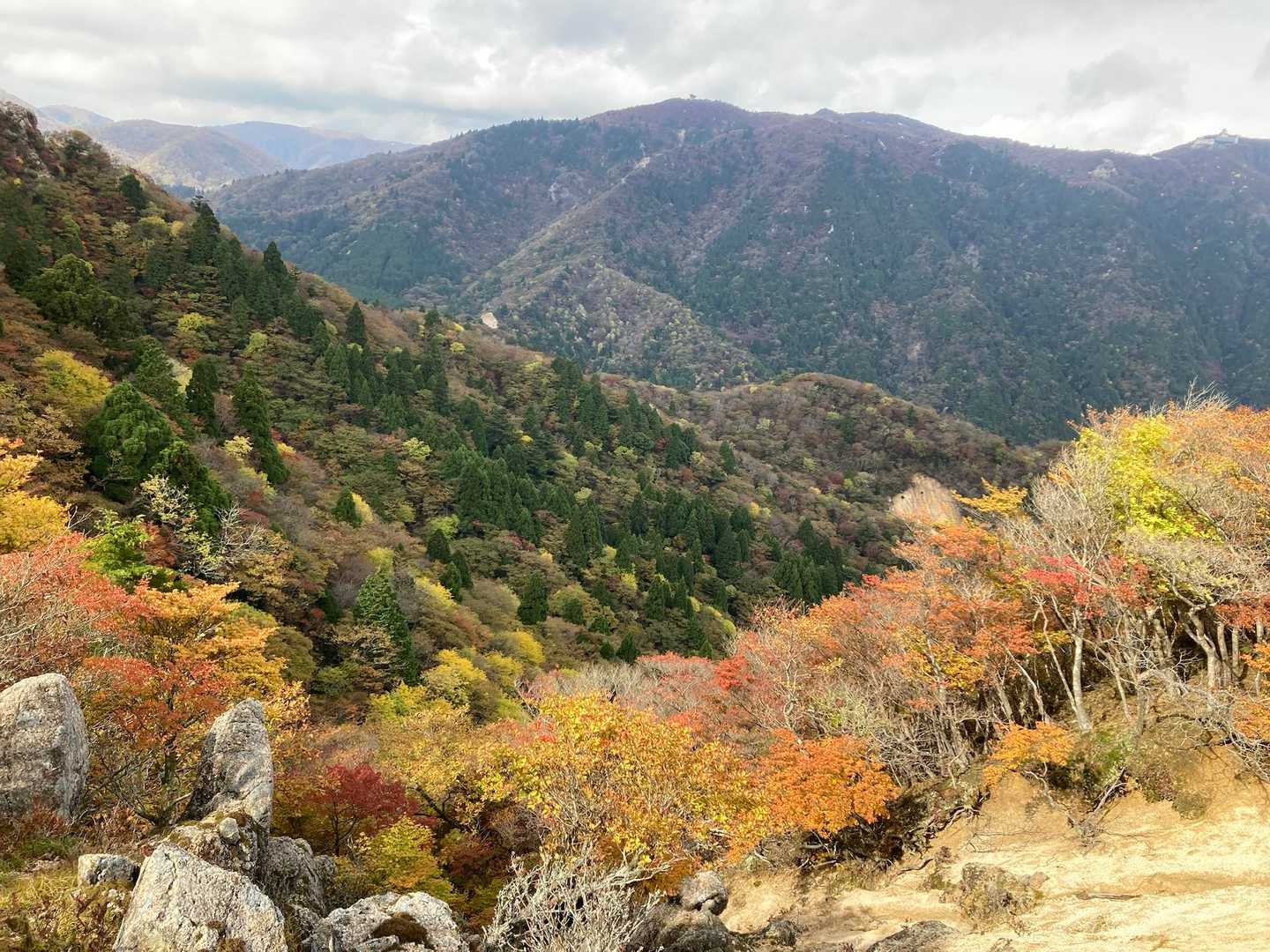 よいよい🍁