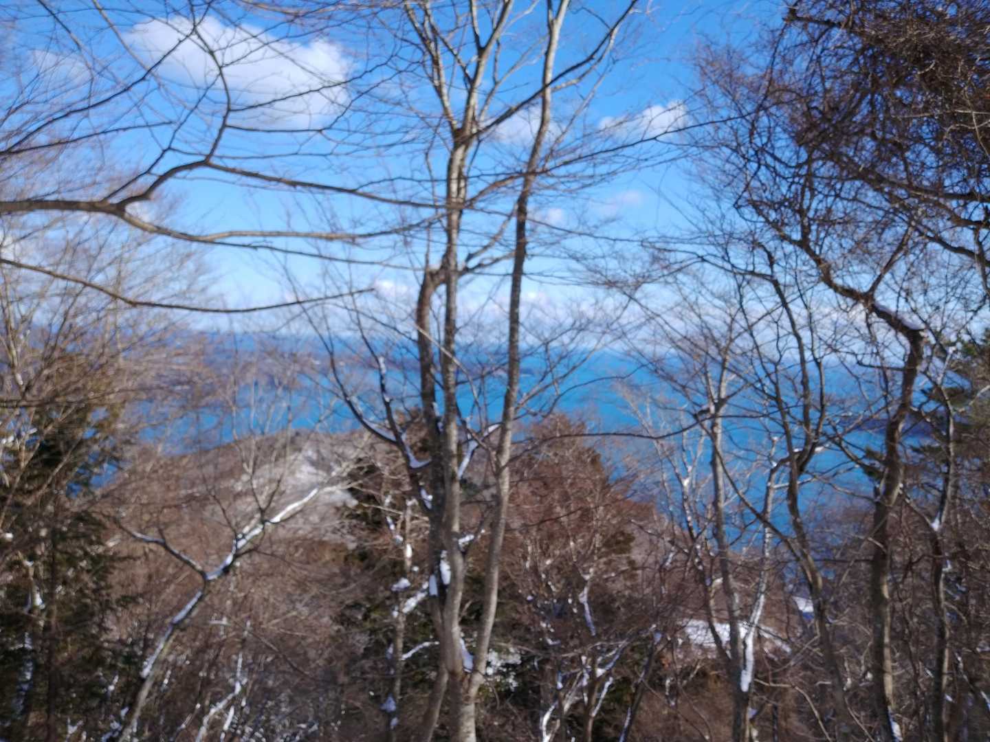 下りは林越しの海を見ながら歩く時々滑る(笑)