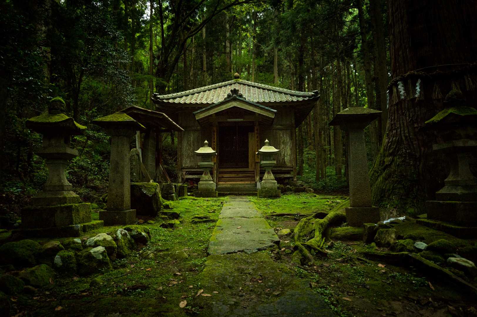 ありがとうございました🙏