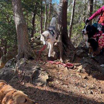 あまり行くことのない坊主山にも立ち寄ってみたり😁

楽しい山行でした。
2025年、おつかれ山でした！