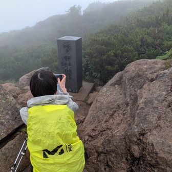 登山道は修羅の道。
山頂（柴安嵓）まで写真ありません。
節目の100名山50座目がこの有様😭
