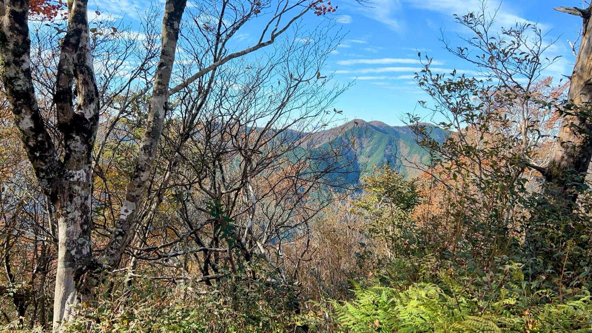 護摩壇山と龍神岳⛰️