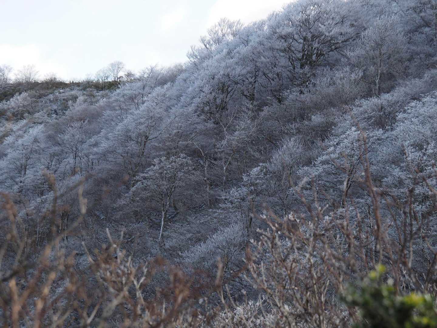 感動✨