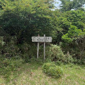 リベンジ成功