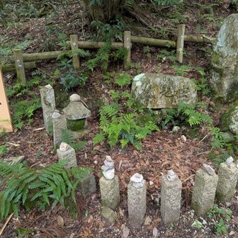 虫地蔵、登山口ここが本日のゴール！
