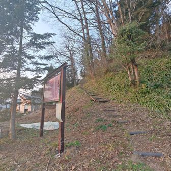 下ってきました